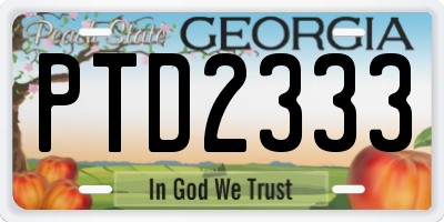 GA license plate PTD2333
