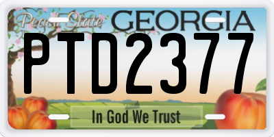 GA license plate PTD2377