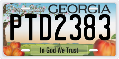GA license plate PTD2383