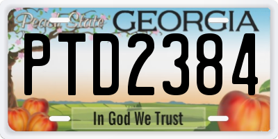 GA license plate PTD2384