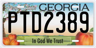 GA license plate PTD2389