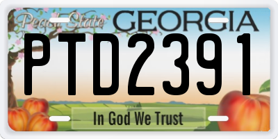 GA license plate PTD2391