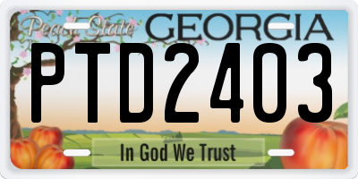 GA license plate PTD2403