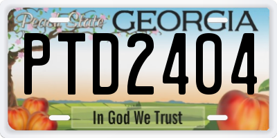 GA license plate PTD2404