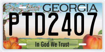 GA license plate PTD2407