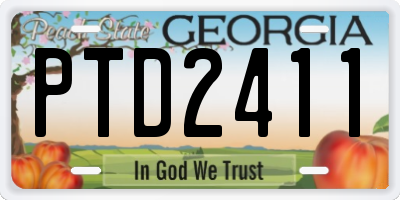 GA license plate PTD2411