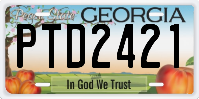 GA license plate PTD2421
