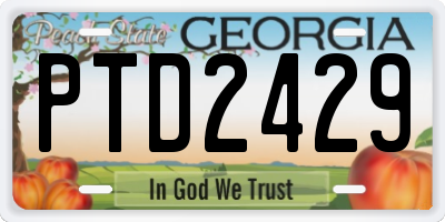 GA license plate PTD2429
