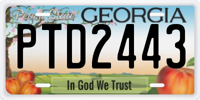 GA license plate PTD2443