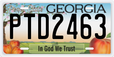 GA license plate PTD2463