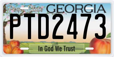 GA license plate PTD2473