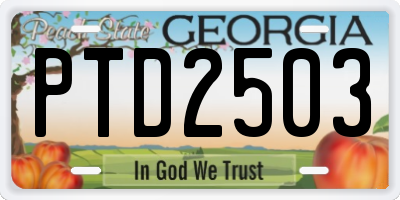 GA license plate PTD2503