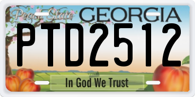 GA license plate PTD2512