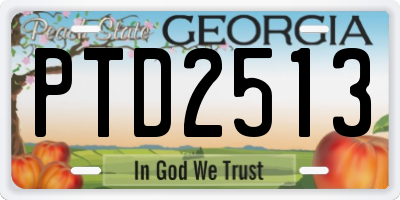 GA license plate PTD2513