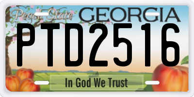 GA license plate PTD2516