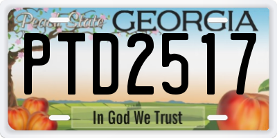 GA license plate PTD2517