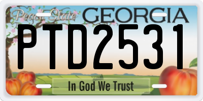 GA license plate PTD2531