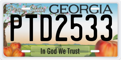GA license plate PTD2533
