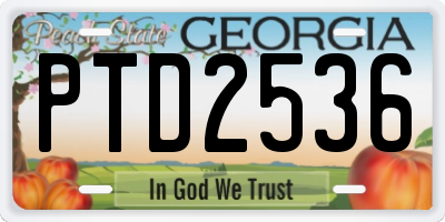 GA license plate PTD2536