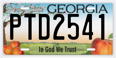 GA license plate PTD2541