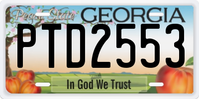 GA license plate PTD2553