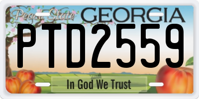 GA license plate PTD2559
