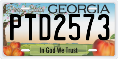 GA license plate PTD2573
