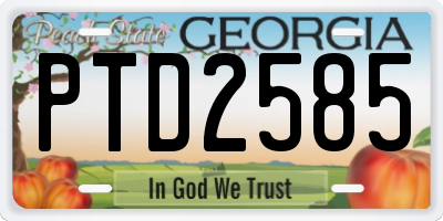 GA license plate PTD2585