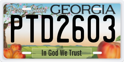GA license plate PTD2603