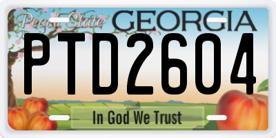 GA license plate PTD2604