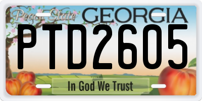 GA license plate PTD2605