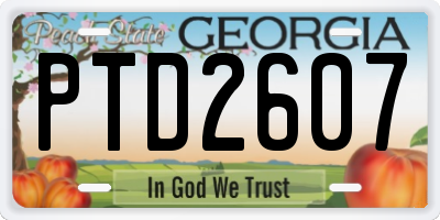 GA license plate PTD2607