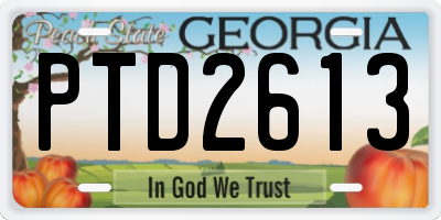 GA license plate PTD2613
