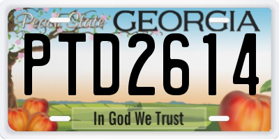 GA license plate PTD2614