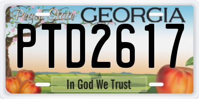 GA license plate PTD2617