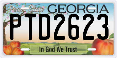 GA license plate PTD2623