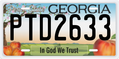 GA license plate PTD2633