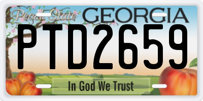 GA license plate PTD2659