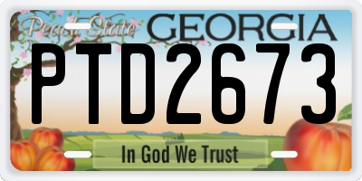 GA license plate PTD2673