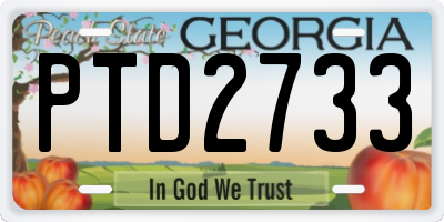 GA license plate PTD2733