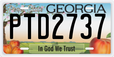 GA license plate PTD2737