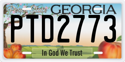 GA license plate PTD2773