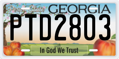GA license plate PTD2803