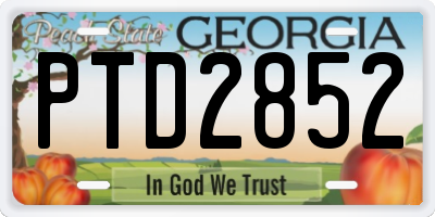GA license plate PTD2852