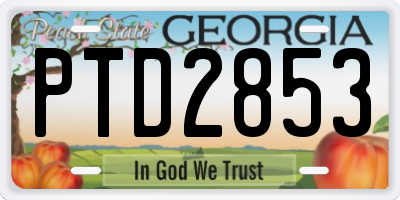 GA license plate PTD2853