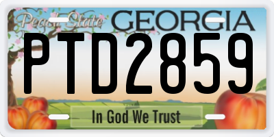 GA license plate PTD2859