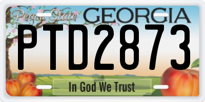 GA license plate PTD2873