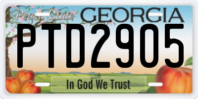 GA license plate PTD2905