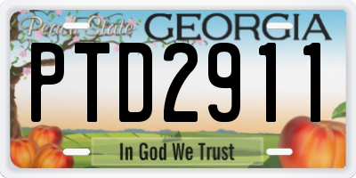 GA license plate PTD2911