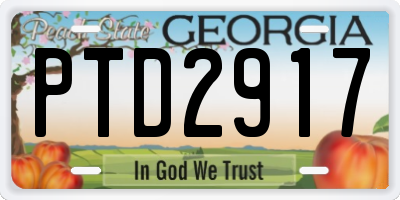 GA license plate PTD2917